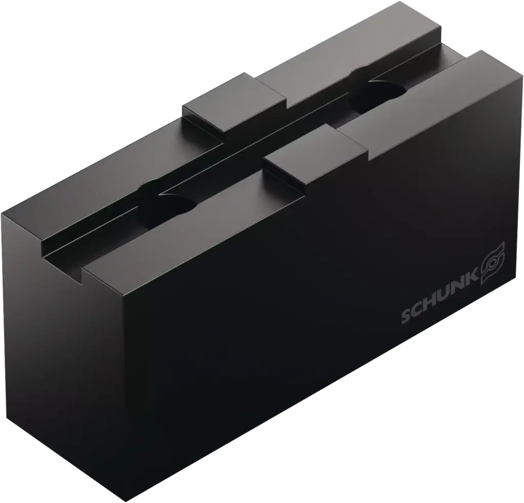SCHUNK WA-RN 160 (New)